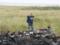 Главным виновником крушения MH17 признали Украину