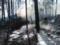 В Житомирской области два пенсионера погибли из-за сжигания сухой травы