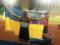 Украина выиграла третье  золото  на Европейском юношеском олимпийском фестивале