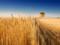 В Украине собрали почти 34 млн тонн зерна нового урожая