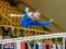 Сборная Украины назвала состав на Чемпионат мира по спортивной гимнастике