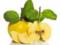 Полезные для здоровья фрукты: айва