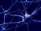 Scientists from Sweden learn how to program brain cells