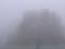 Туман в Украине: чрезвычайники предупредили об ухудшении видимости