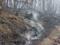 В Крыму второй крупный лесной пожар за сутки