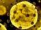 Развенчан популярный миф о коронавирусе
