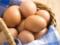 Медики объяснили, в чем польза куриных яиц