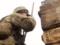 Боевики вернули Украине тело погибшего военного Максима Хитайлова