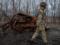 На Луганському напрямку бойовики застосували ствольну артилерію