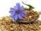 Chicory Root Instead of Coffee - 3 Unique Health Benefits