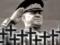Deputies of Kharkov returned to the city avenue to them. Marshal Zhukov