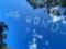 Відеофакт: В небі над Сіднеєм невідомий зробив напис  