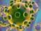 Вчені з Сінгапуру назвали нові симптоми коронавируса