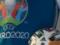 УЕФА принял решение о переносе Евро-2020 на следующий год из-за коронавируса