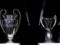 УЕФА официально отложил финалы Лиги чемпионов и Лиге Европы
