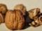 Как грецкие орехи влияют на уровень холестерина