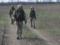 ООС: боевики 8 раз открывали огонь по украинским защитникам