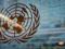 Украина заблокировала в ООН резолюцию России об ослаблении санкций