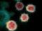 Откуда появился коронавирус: ученые сделали революционное открытие
