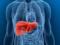 Named the most useful liver foods