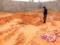 У Лівії знайшли масові поховання: людей спалювали і закопували живцем