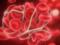 Как COVID-19 делает кровь «вязкой» и приводит к тромбам: объясняет эксперт