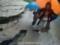 В Яремче под женщиной с двумя детьми разрушилась дорога: спаслись в последний момент