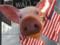 У Китаї виявили новий штам свинячого грипу
