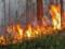 На Луганщине вспыхнул лесной пожар