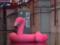Харьков затопило: по городу плавают машины и розовые фламинго