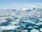 Million species of plants and animals may disappear in 50 years, - UN