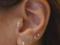 Numerous Ear Piercings: Parsing a New Trend