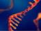 Вчені успішно відредагували РНК в живому організмі