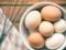 Как избавиться от микробов в яйце: рассказывает эксперт