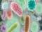 Intestinal flu: tips