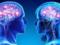 Scientists have named another reason for the rapid aging of the brain
