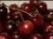 Doctors talked about the benefits of cherries and cherries