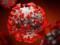 «Ахіллесова п ята» коронавируса: вчені з ясували, як перемогти хворобу