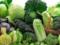 Витамины в продуктах питания и их роль