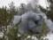 ООС: Пять обстрелов с начала суток, один воин подорвался на противопехотной мине