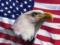 Палата представителей США одобрила «план спасения США» на $1,9 трлн от Байдена