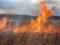 Зеленский подписал закон, запрещающий сжигать сухую траву в лесах и возле водоемов