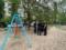 В Луганской области на детской площадке взорвался боеприпас, пострадала 9-летняя девочка