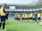 Украина сыграет против Австрии в желтом комплекте формы