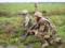 Боевики 6 раз обстреляли позиции ООС: у Марьинки ранен боец ВСУ