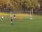 In Scotland, the dog ran onto the field and saved the team from a goal: a curious video scattered across the web