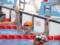 Пятое  золото  за день: украинская пловчиха Мерешко стала двукратной чемпионкой Паралимпиады-2020