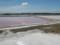 ФГИ готов продать за 6 млн грн соледобывающее предприятие в природоохранной зоне на Розовых озерах Херсонщины