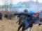Семь польских полицейских пострадали во время штурма мигрантами границы