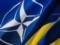 Вопрос членства Украины в НАТО на данный момент не актуален, – Шольц